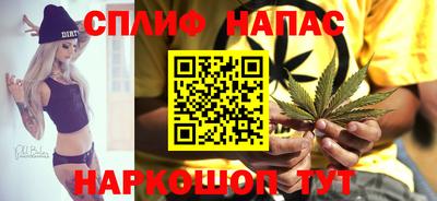 гашик Малоярославец