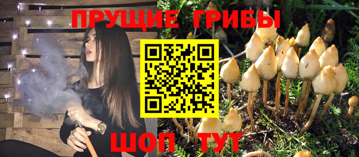 Бугуруслан  Галлюциногенные грибы мухоморы  Вход с VPN 